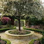 Bringing The Outdoors In: The Best Small Patio Trees