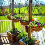 Incredible Patio Garden Pots Ideas